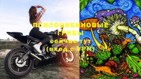 прущая мука Алзамай